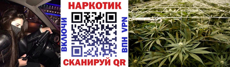 Купить наркоту Фролово КОКАИН  ОМГ ОМГ рабочий сайт  A PVP  Марихуана  Меф мяу мяу  Псилоцибиновые грибы 