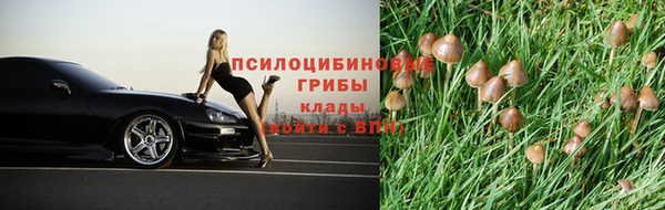 jwh Магас