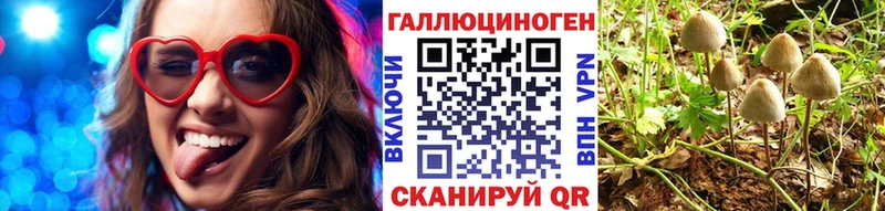 OMG как войти  Фролово  Галлюциногенные грибы Psilocybine cubensis 